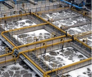 生化池出水氨氮超標提標怎么辦？