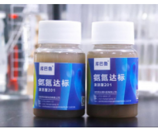 生化系統崩潰，氨氮超標，我該怎么辦?